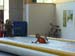 KSW_08_048